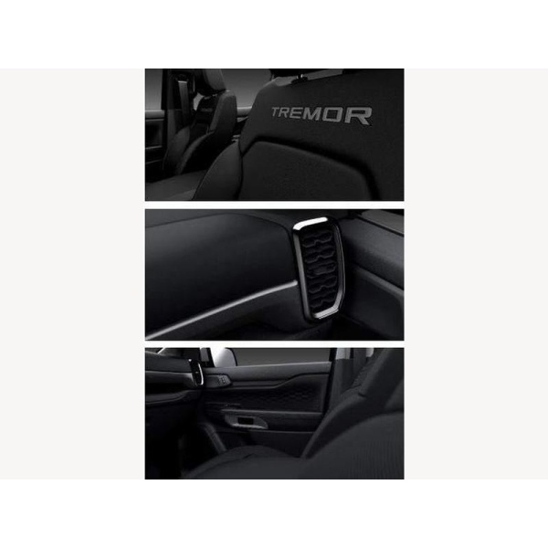 Ford Ranger - 2.0 TD EcoBlue Tremor Auto 4WD Euro 6 (s/s) 4dr