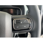 Citroen E-berlingo - 50kWh Flair XTR XL MPV Auto 5dr (11kW Charger)