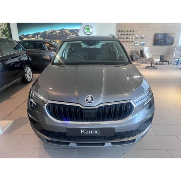 SKODA Kamiq - 1.0 TSI SE L DSG Euro 6 (s/s) 5dr