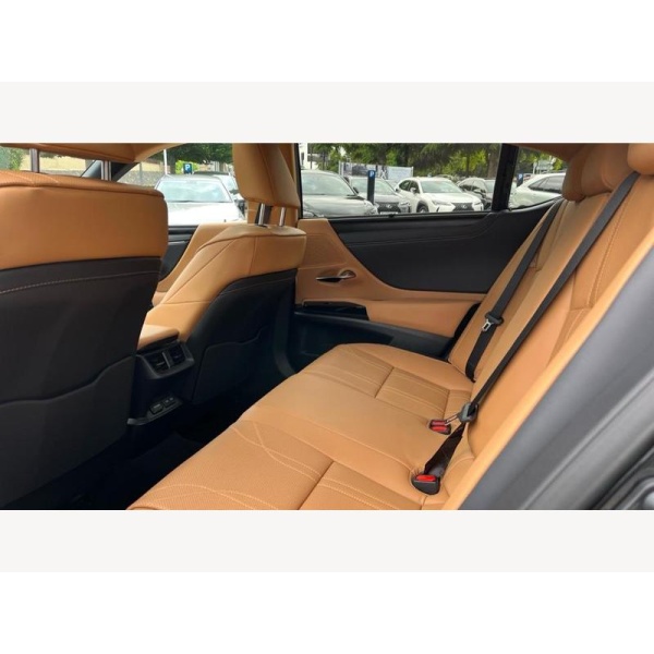 Lexus ES - 2.5 300h Premium E-CVT Euro 6 (s/s) 4dr