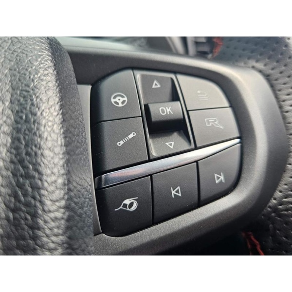 Ford Ranger - 3.0T V6 EcoBoost Raptor Auto 4WD Euro 6 (s/s) 4dr