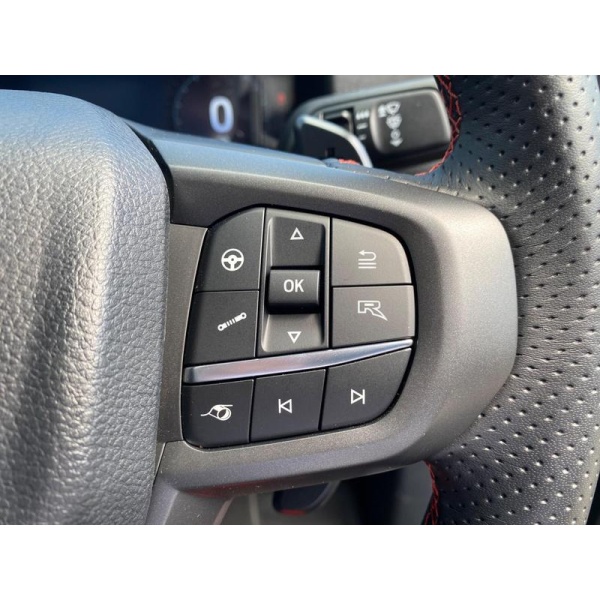 Ford Ranger - 3.0T V6 EcoBoost Raptor Auto 4WD Euro 6 (s/s) 4dr