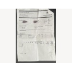 Ford B-max - 1.0 ZETEC 5d 100 BHP TIMING BELT KIT DONE @ 51,329