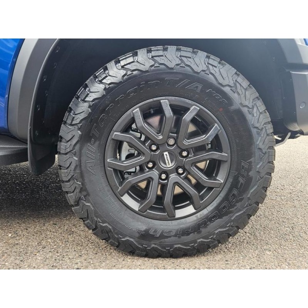 Ford Ranger - 3.0T V6 EcoBoost Raptor Auto 4WD Euro 6 (s/s) 4dr