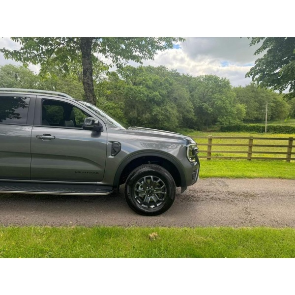 Ford Ranger - 2.0 TD EcoBlue Wildtrak Auto 4WD Euro 6 (s/s) 4dr