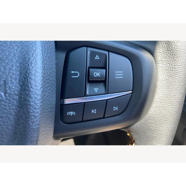 Ford Ranger - 2.0 TD EcoBlue Wildtrak X Auto 4WD Euro 6 (s/s) 4dr