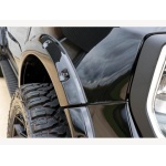Ford Ranger - 2.0 EcoBlue Raptor Auto 4WD Euro 6 (s/s) 4dr