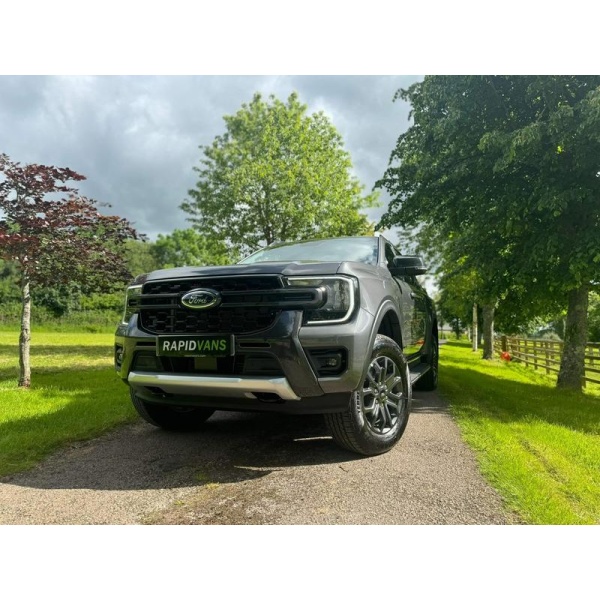 Ford Ranger - 2.0 TD EcoBlue Wildtrak Auto 4WD Euro 6 (s/s) 4dr