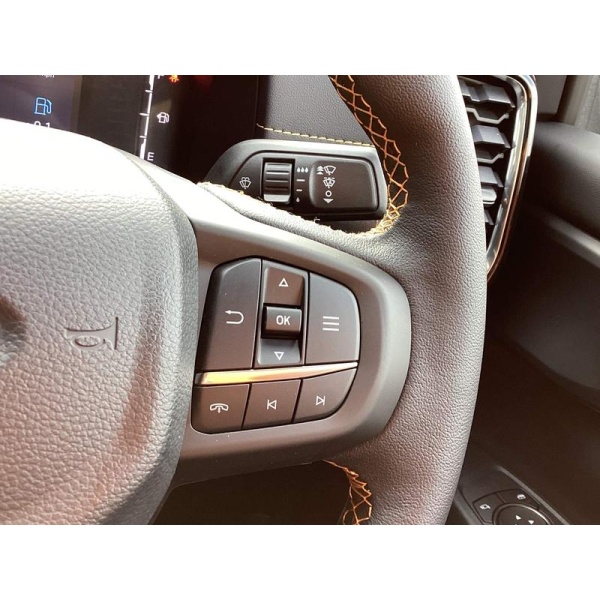 Ford Ranger - 2.0 TD EcoBlue Wildtrak Auto 4WD Euro 6 (s/s) 4dr