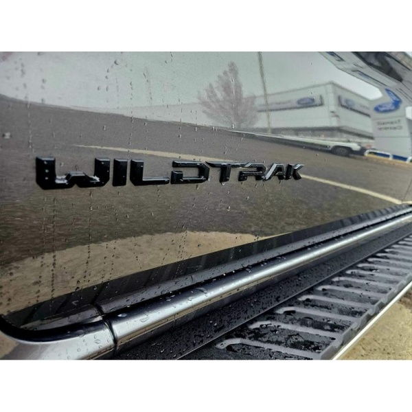 Ford Ranger - 2.0 TD EcoBlue Wildtrak Auto 4WD Euro 6 (s/s) 4dr