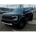 Ford Ranger - 3.0T V6 EcoBoost Raptor Auto 4WD Euro 6 (s/s) 4dr