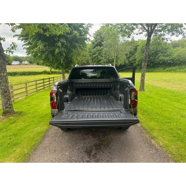 Ford Ranger - 2.0 TD EcoBlue Wildtrak Auto 4WD Euro 6 (s/s) 4dr