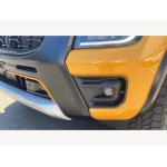 Ford Ranger - 2.0 TD EcoBlue Wildtrak X Auto 4WD Euro 6 (s/s) 4dr