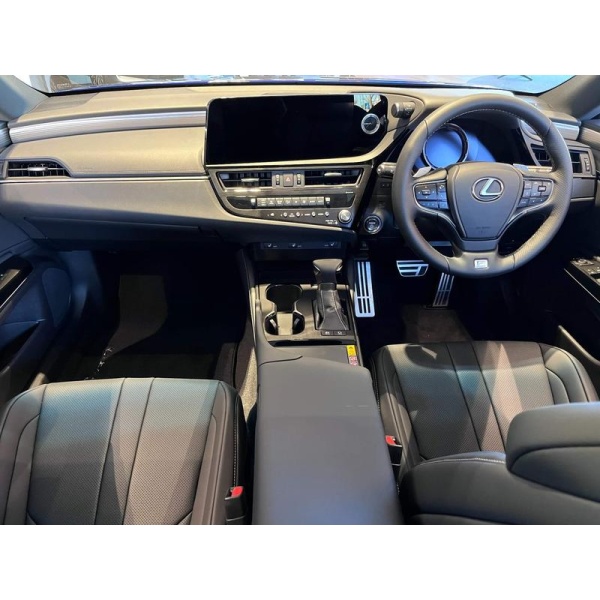 Lexus ES - 2.5 300h F Sport E-CVT Euro 6 (s/s) 4dr