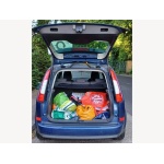 Ford Focus C-max - 1.6 16v Zetec MPV 5dr Petrol Manual (166 g/km, 99 bhp)