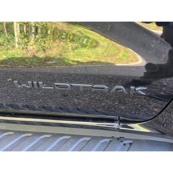 Ford Ranger - 2.0 TD EcoBlue Wildtrak Auto 4WD Euro 6 (s/s) 4dr