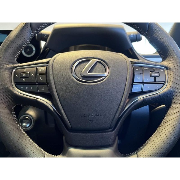 Lexus ES - 2.5 300h F Sport E-CVT Euro 6 (s/s) 4dr