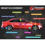 BMW 6 Series - 3.0 630i Sport Coupe 2dr Petrol Auto Euro 4 (258 ps)