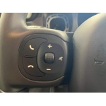 Fiat Panda - 1.0 MHEV Top Euro 6 (s/s) 5dr