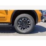 Ford Ranger - 2.0 TD EcoBlue Wildtrak X Auto 4WD Euro 6 (s/s) 4dr