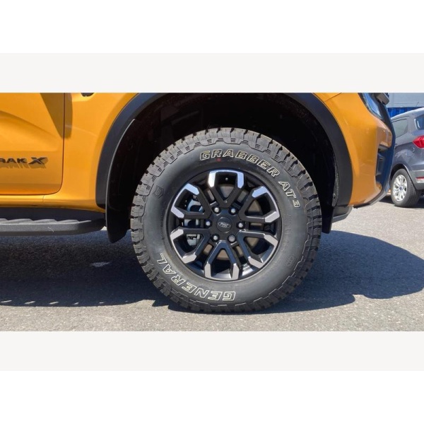Ford Ranger - 2.0 TD EcoBlue Wildtrak X Auto 4WD Euro 6 (s/s) 4dr