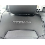 Ford Ranger - 2.0 TD EcoBlue Tremor Auto 4WD Euro 6 (s/s) 4dr
