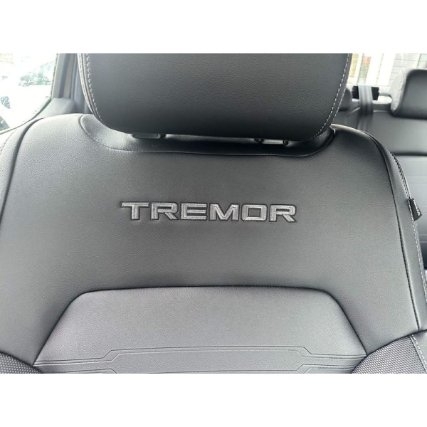 Ford Ranger - 2.0 TD EcoBlue Tremor Auto 4WD Euro 6 (s/s) 4dr