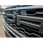 Ford Ranger - 3.0T V6 EcoBoost Raptor Auto 4WD Euro 6 (s/s) 4dr
