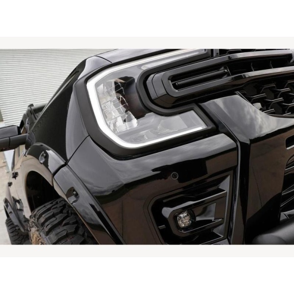 Ford Ranger - 2.0 EcoBlue Raptor Auto 4WD Euro 6 (s/s) 4dr