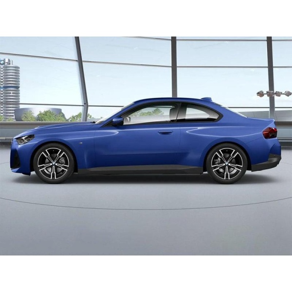 BMW 2 Series - 2.0 220i M Sport Auto Euro 6 (s/s) 2dr