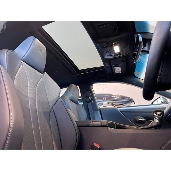 Lexus ES - 2.5 300h F Sport E-CVT Euro 6 (s/s) 4dr