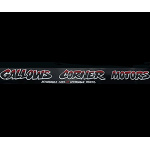Volkswagen Passat - 2.0 TDI SE Euro 4 4dr