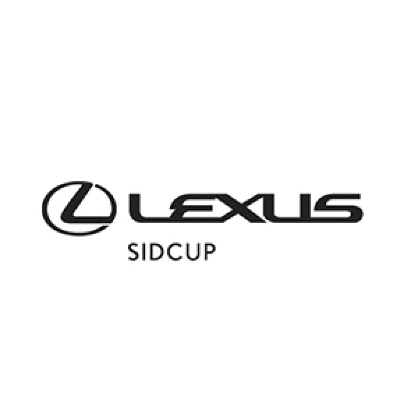 Lexus ES - 2.5 300h Premium E-CVT Euro 6 (s/s) 4dr