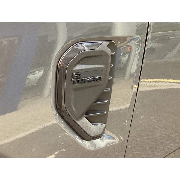 Ford Ranger - 2.0 TD EcoBlue Wildtrak Auto 4WD Euro 6 (s/s) 4dr