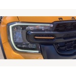 Ford Ranger - 2.0 TD EcoBlue Wildtrak X Auto 4WD Euro 6 (s/s) 4dr