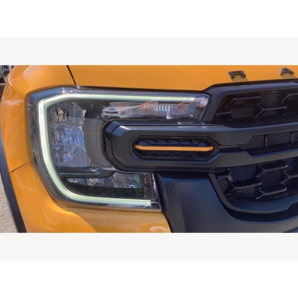 Ford Ranger - 2.0 TD EcoBlue Wildtrak X Auto 4WD Euro 6 (s/s) 4dr