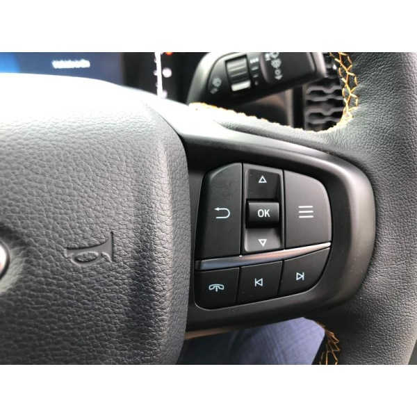 Ford Ranger - 2.0 TD EcoBlue Wildtrak Double Cab Pickup Auto 4WD Euro 6 (s/s) 4dr