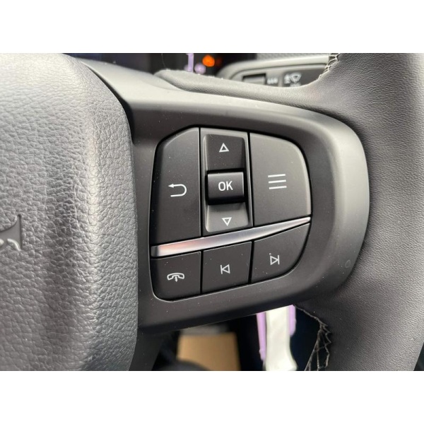 Ford Ranger - 2.0 TD EcoBlue Tremor Double Cab Pickup 4dr Diesel Auto 4WD Euro 6 (s/s) (205 ps)