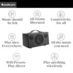Audio Pro T3 Portable Bluetooth Speaker - Black