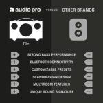 Audio Pro T3 Portable Bluetooth Speaker - Black