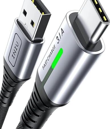 INIU 2m USB-C Charger Cable 3.1A Fast Charging Braided