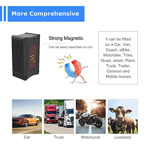 SEEWORLD R56L 4G Car GPS Tracker OBD Plug & Play Black