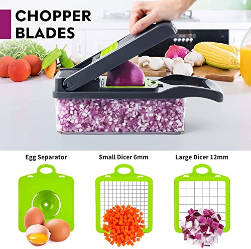 DUMAO 12-in-1 Vegetable Chopper & Mandoline Slicer