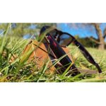 DESTEK V5 VR Headset, 110° FOV, Anti-Blue Lenses, 163x83x10 mm