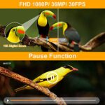 FHD 1080P 36MP Video Camera with IR Night Vision & Remote