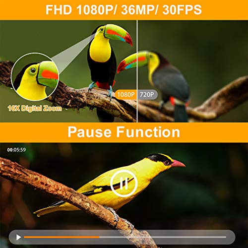 FHD 1080P 36MP Video Camera with IR Night Vision & Remote