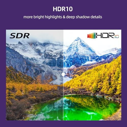 CHiQ ROKU TV L40G5NK, 101cm Smart TV, FHD, HDR10, 2023