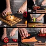 Nuovva 5-Piece Kitchen Knife Set with Acrylic Block