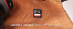 SanDisk 128GB Extreme PRO SDXC Card, 200 MB/s, V30, UHS-I