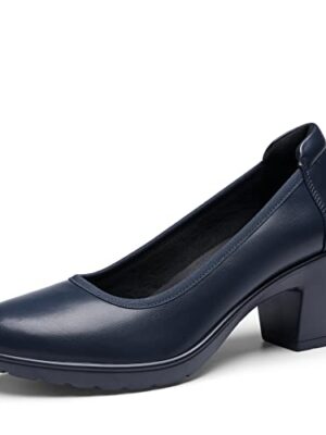 DREAM PAIRS Women's Chunky Low Block Heels Work Pumps